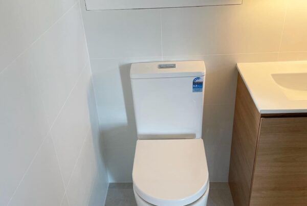 Toilet Repairs