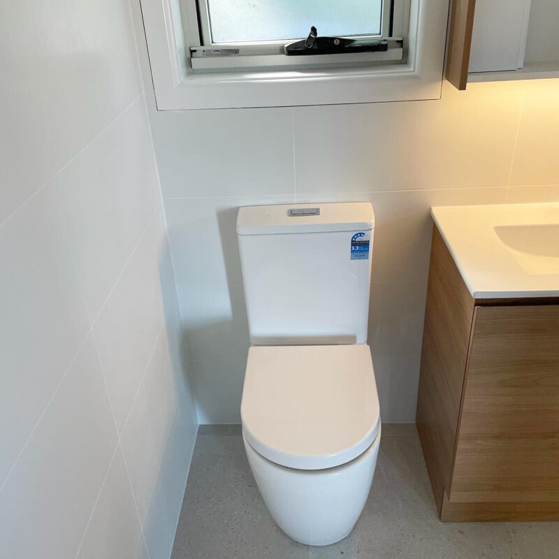 Toilet Repairs